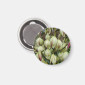 Yucca Pflanze Magnet (Vorderseite/Rückseite)