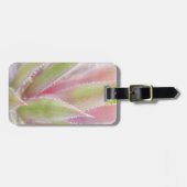 Yucca-Pflanze nah Gepäckanhänger (Vorderseite horizontal)