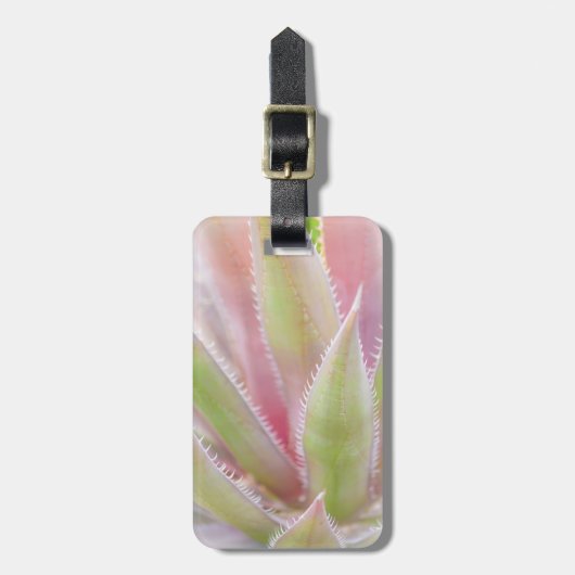 Yucca-Pflanze nah Gepäckanhänger (Vorderseite vertikal)