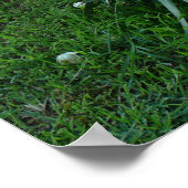 Yucca-Pflanze Poster (Ecke)