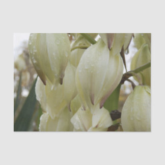 Yucca Plant  Seidenpapier