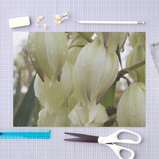 Yucca Plant  Seidenpapier (Handwerk)