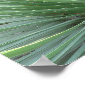 Yucca Poster (Ecke)