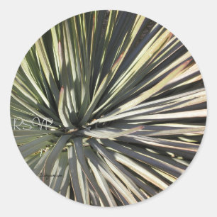 Yucca Radial UAWG Wedding Siegels Sticker