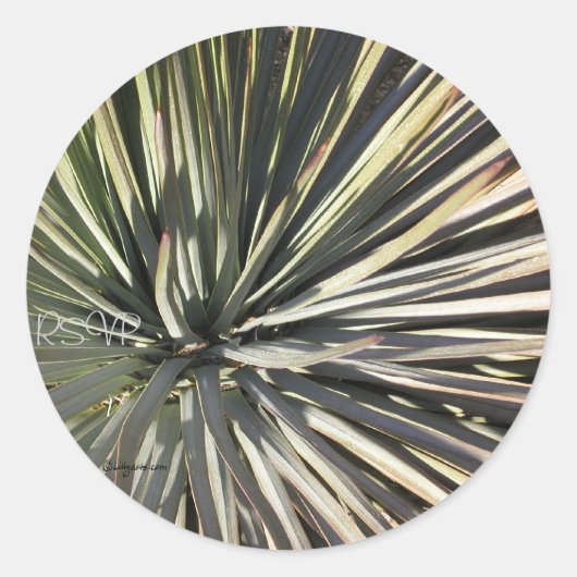 Yucca Radial UAWG Wedding Siegels Sticker (Vorderseite)