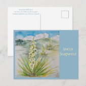 Yucca Soapweed Postkarte (Vorne/Hinten)