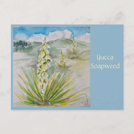 Yucca Soapweed Postkarte (Vorderseite)
