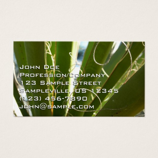 Yucca Verlasse grüne Naturfotografie (Vorderseite)