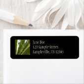 Yucca Verlasse grüne Naturfotografie (Insitu)