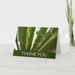 Yucca Verlasse grüne Naturfotografie Dankeskarte
