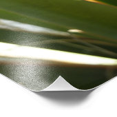 Yucca Verlasse grüne Naturfotografie Fotodruck (Ecke)