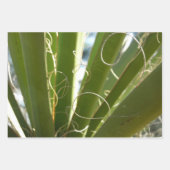 Yucca Verlasse grüne Naturfotografie Geschenkpapier Set (Vorderseite)