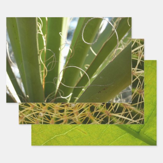 Yucca Verlasse grüne Naturfotografie Geschenkpapier Set (Set)