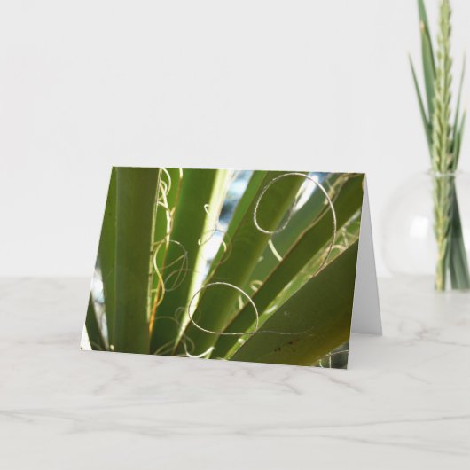 Yucca Verlasse grüne Naturfotografie Karte (Vorderseite)