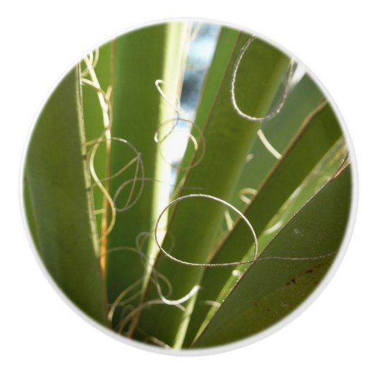 Yucca Verlasse grüne Naturfotografie Keramikknauf (Vorderseite)