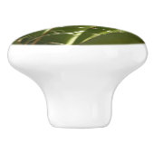 Yucca Verlasse grüne Naturfotografie Keramikknauf (Seitenansicht)