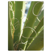 Yucca Verlasse grüne Naturfotografie Klemmbrett (Rückseite)