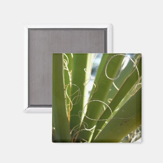 Yucca Verlasse grüne Naturfotografie Magnet (Vorderseite/Rückseite)