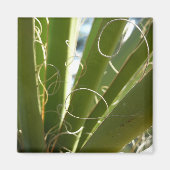 Yucca Verlasse grüne Naturfotografie Magnet (Vorne)