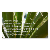 Yucca Verlasse grüne Naturfotografie Magnetische Visitenkarte (Vorderseite)