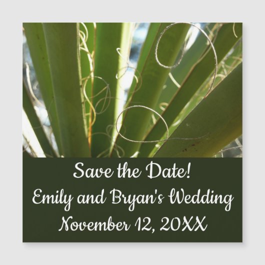 Yucca Verlasse grüne Naturfotografie Magnetkarte (Vorderseite)