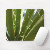 Yucca Verlasse grüne Naturfotografie Mousepad (Mit Mouse)