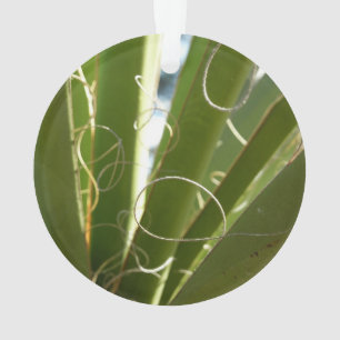 Yucca Verlasse grüne Naturfotografie Ornament
