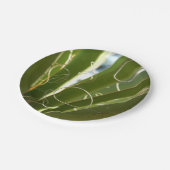 Yucca Verlasse grüne Naturfotografie Pappteller (Schrägansicht)