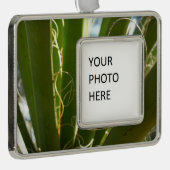 Yucca Verlasse grüne Naturfotografie Rahmen-Ornament Silber (Rechts)