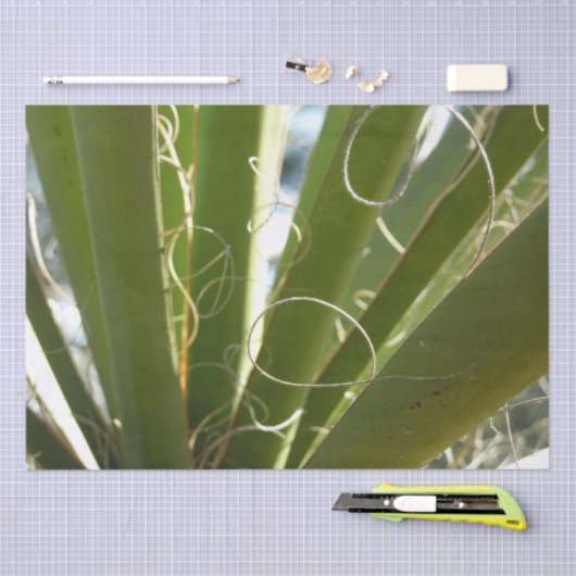 Yucca Verlasse grüne Naturfotografie Seidenpapier (Handwerk)