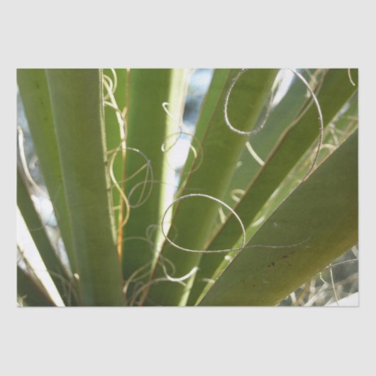 Yucca Verlasse grüne Naturfotografie Seidenpapier (Vorderseite)