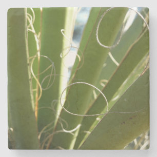 Yucca Verlasse grüne Naturfotografie Steinuntersetzer