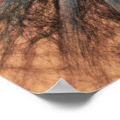 Yucca Warm Glow Poster (Ecke)