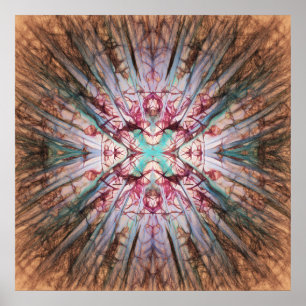 Yucca Warm Glow Poster