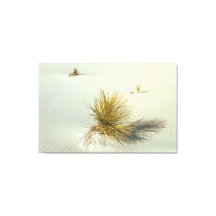 Yuccas in White Sands