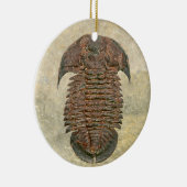 Yuepingia Fossil Trilobit Keramikornament (Rechts)