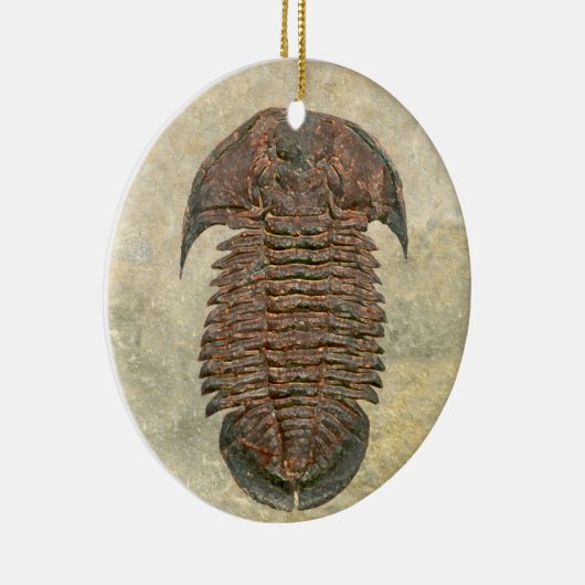 Yuepingia Fossil Trilobit Keramikornament (Rechts)