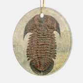 Yuepingia Fossil Trilobit Keramikornament (Links)
