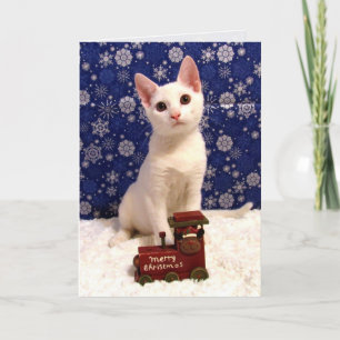 Yukis Weihnachtszug - Cat Holiday Grußkarte Feiertagskarte