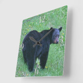 Yukon Black Bear & Wilderness Foto Art Quadratische Wanduhr (Winkel)