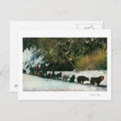 Yukon Dog Team Befragung durch den Alaska Canyon Postkarte (Vorne/Hinten)