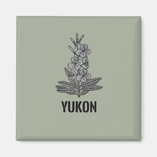 Yukon Fireweed Magnet (Vorne)