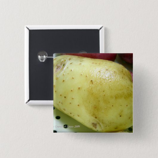 Yukon Gold Potato Button (Vorne & Hinten)