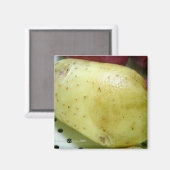 Yukon Gold Potato Magnet (Vorderseite/Rückseite)