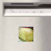 Yukon Gold Potato Magnet (In Situ (Geschirrspüler))