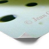 Yukon Gold Potato Poster (Ecke)