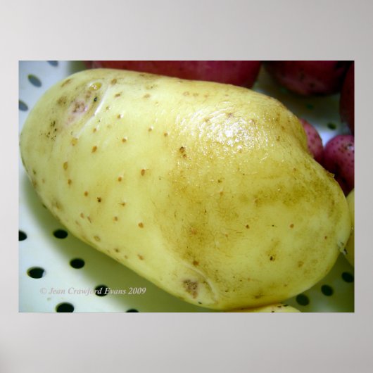 Yukon Gold Potato Poster (Vorne)
