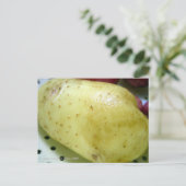 Yukon Gold Potato Postkarte (Stehend Vorderseite)