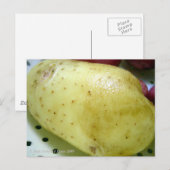 Yukon Gold Potato Postkarte (Vorne/Hinten)