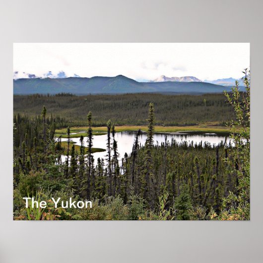Yukon Pond Poster (Vorne)